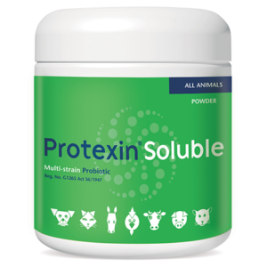 Protexin Soluble Probiotic For Dogs, Cats & Horses 250g -Multistrain,Digest