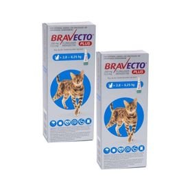 Bravecto Cat Plus Medium -Long Lasting Flea, Tick & Worm Treatment -2 Pack
