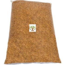 Dried Mealworms -Nutrient Rich Feeder Insects, Eco-Friendly, Organic