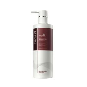 Karseell Argan Oil Shampoo For Dry And Damaged Hair