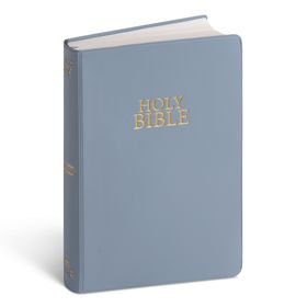NIV Steel Blue Vinyl Bible
