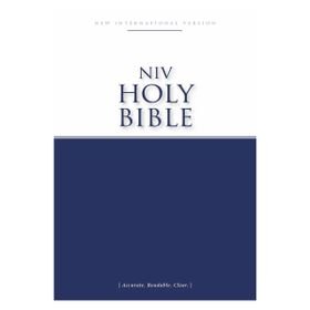 NIV, Economy Bible